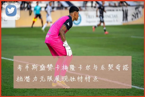 考辛斯盛赞卡梅隆卡尔与东契奇搭档潜力无限展现独特特点