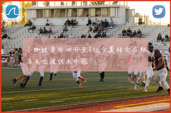 小蜘蛛身价回升至1亿今夏转会在即马竞生涯仍未夺冠
